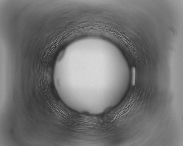 X0000113561491200909181009