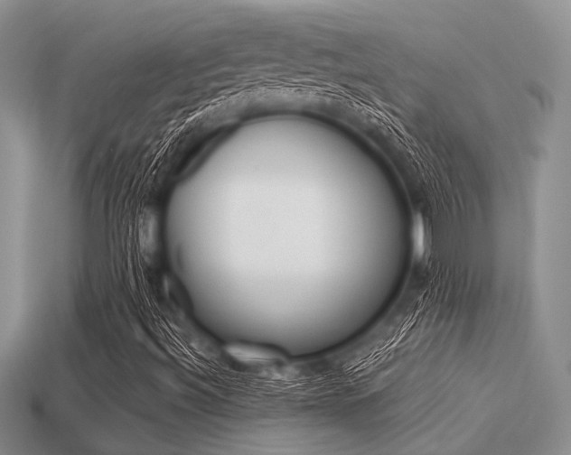 X0000113561492200909181009