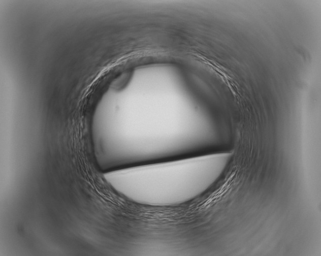 X0000113561494200909181009