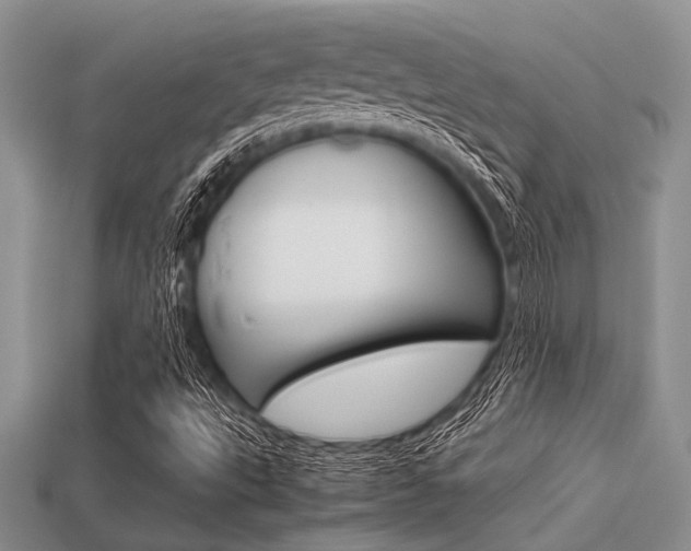 X0000113561495200909181009