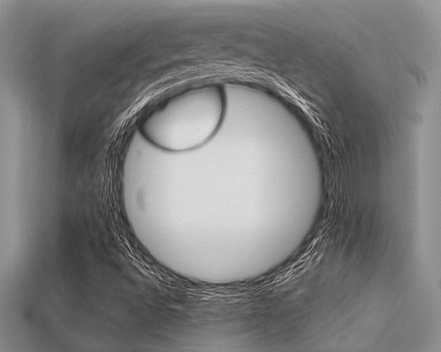X0000113561496200909181009