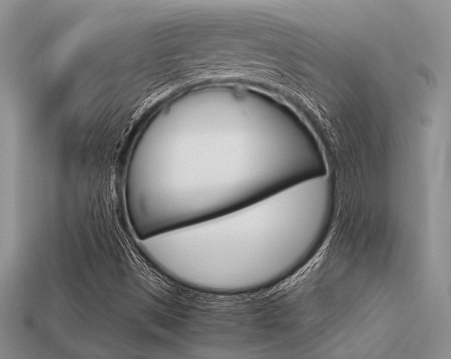 X0000113561497200909181009