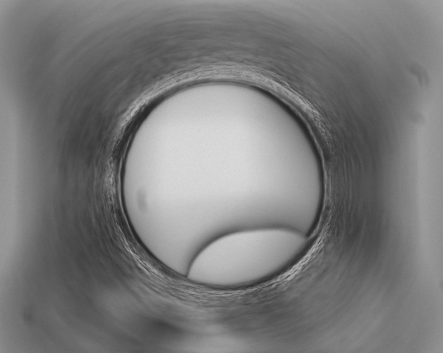 X0000113561498200909181009