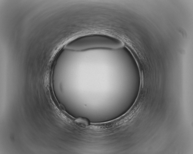 X0000113561500200909181009