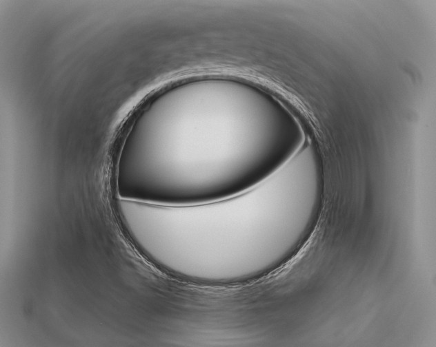 X0000113561502200909181009