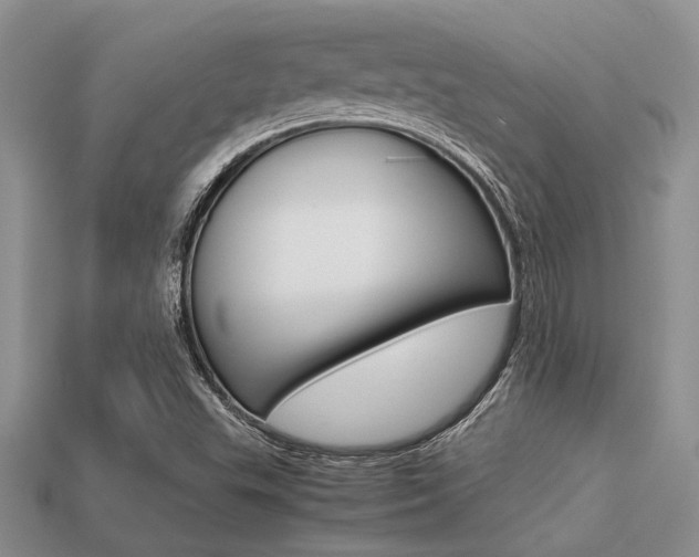 X0000113561503200909181009