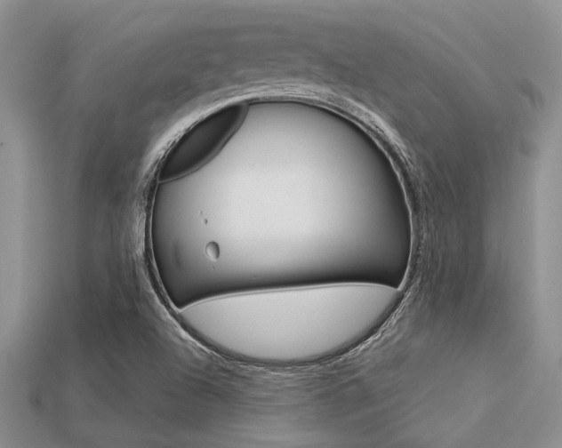 X0000113561504200909181009
