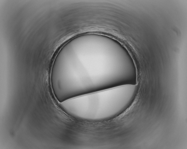 X0000113561505200909181009