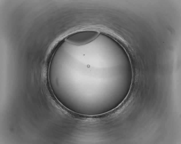 X0000113561506200909181009