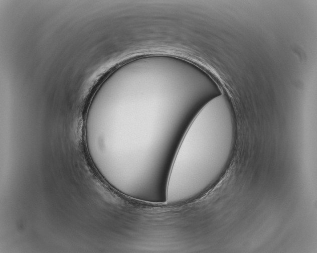 X0000113561507200909181009