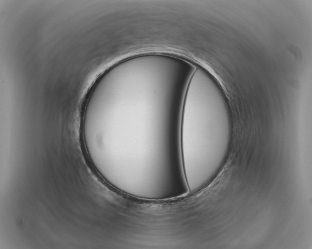 X0000113561508200909181009