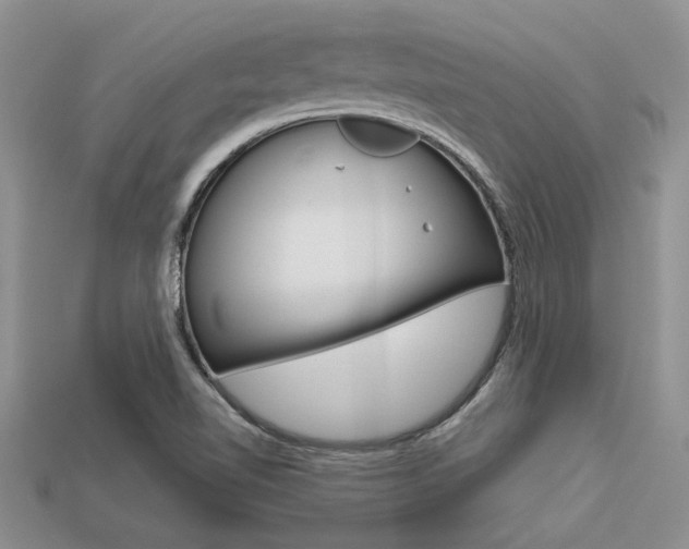 X0000113561510200909181009