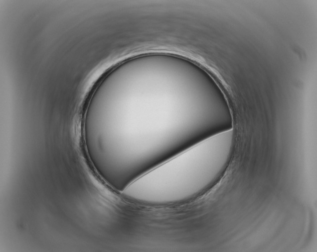 X0000113561511200909181009