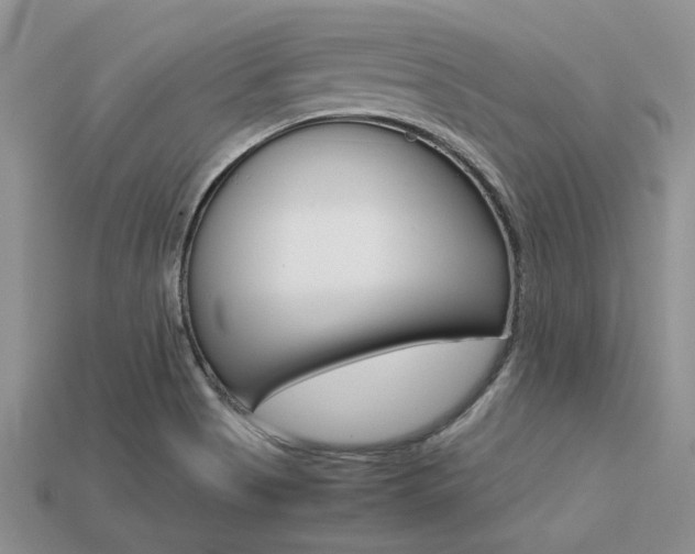 X0000113561513200909181009