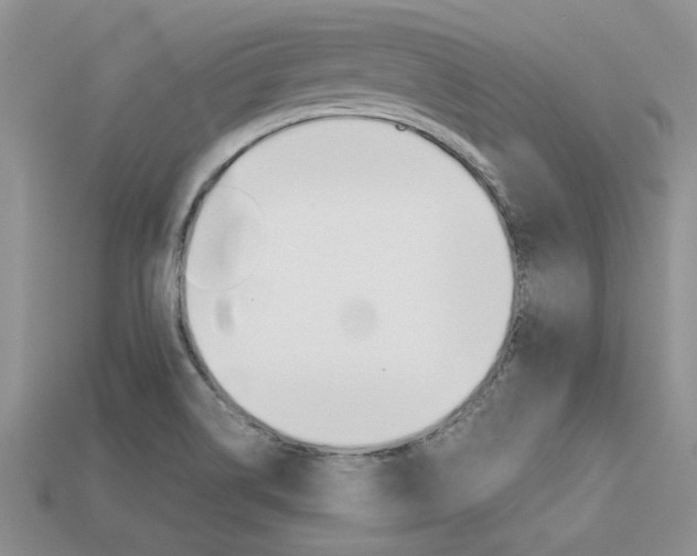 X0000113561514200909181009