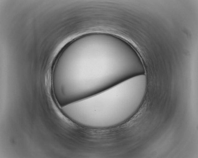 X0000113561515200909181009
