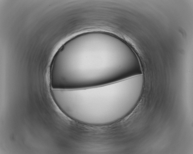 X0000113561516200909181009