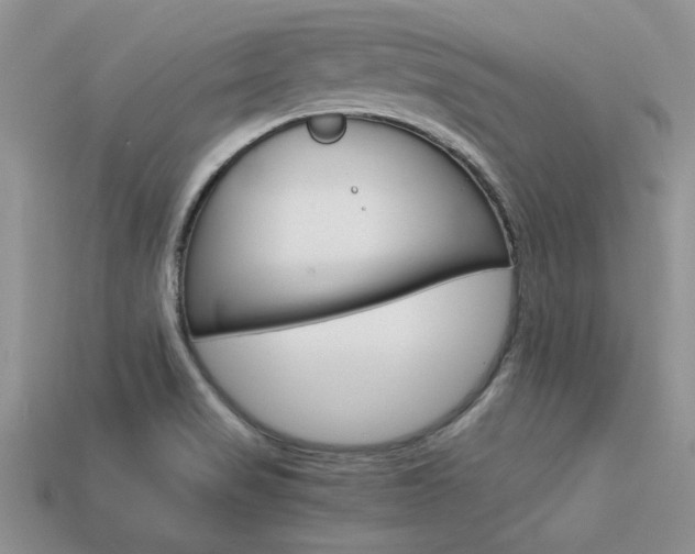 X0000113561517200909181009