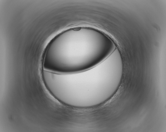 X0000113561518200909181010