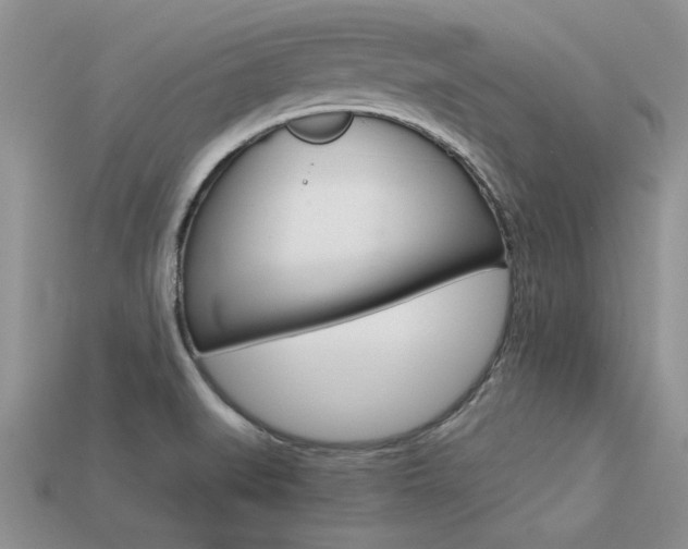 X0000113561519200909181010