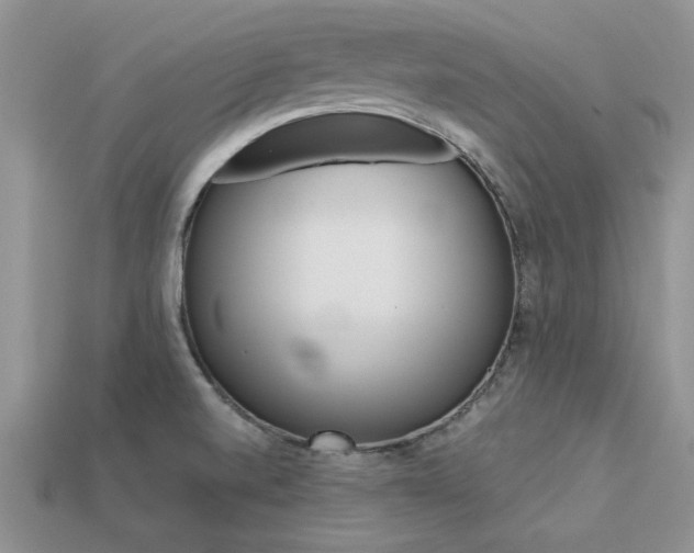 X0000113561520200909181010