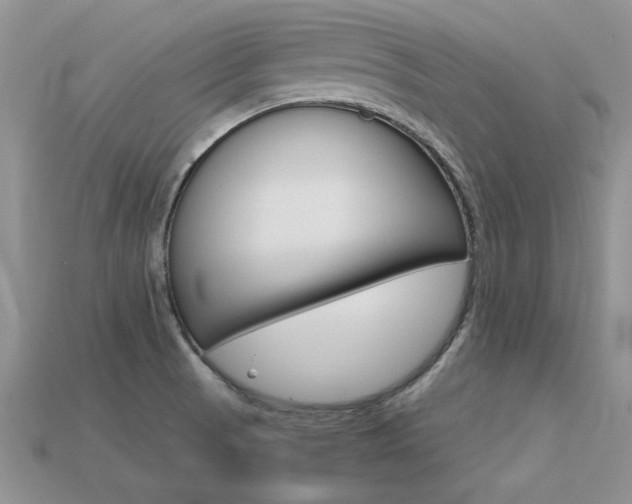 X0000113561521200909181010