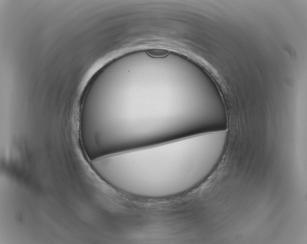 X0000113561522200909181010