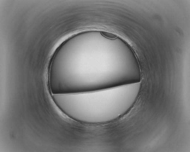 X0000113561523200909181010