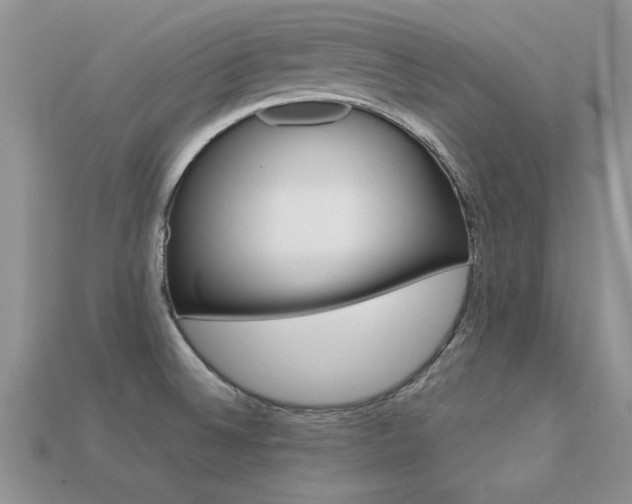 X0000113561524200909181010