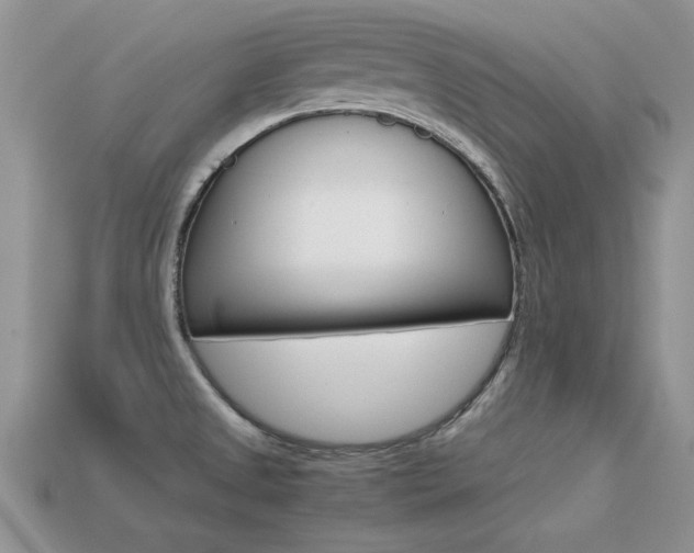 X0000113561525200909181010