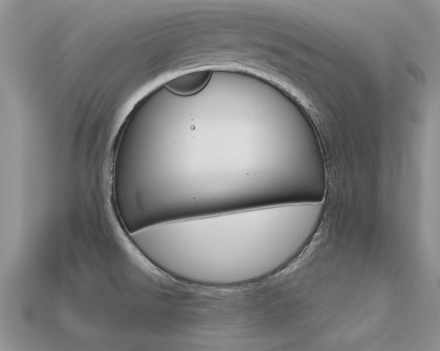 X0000113561526200909181010