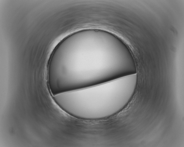 X0000113561527200909181010