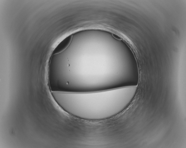X0000113561528200909181010