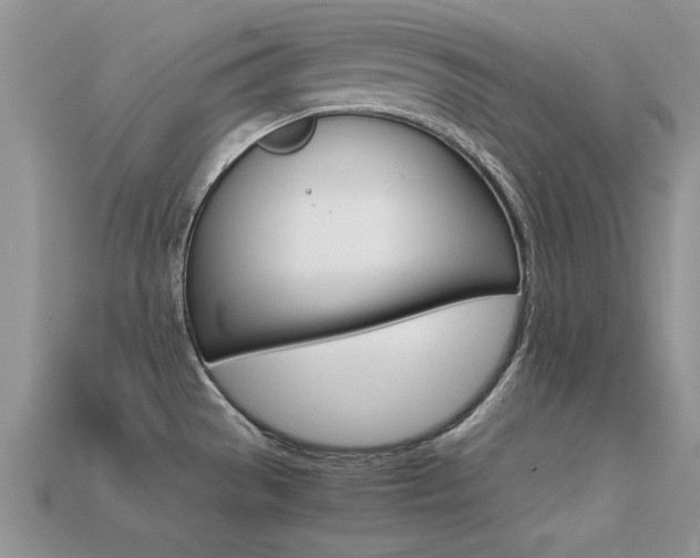 X0000113561529200909181010