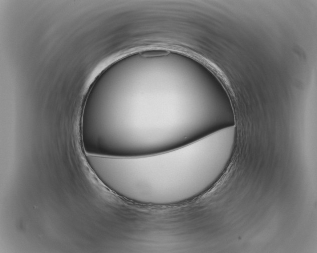 X0000113561530200909181010