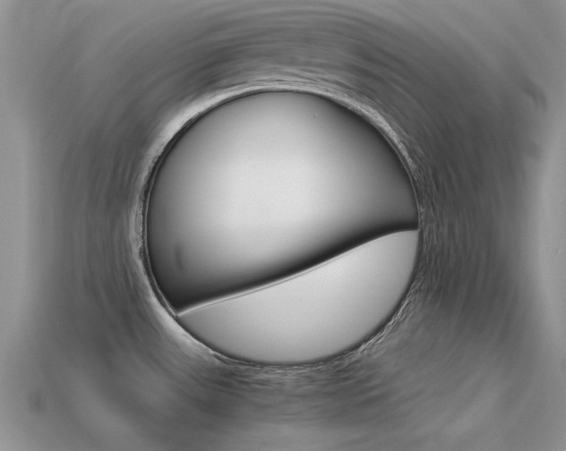 X0000113561531200909181010