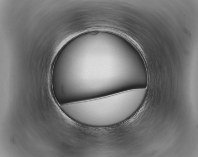 X0000113561533200909181010