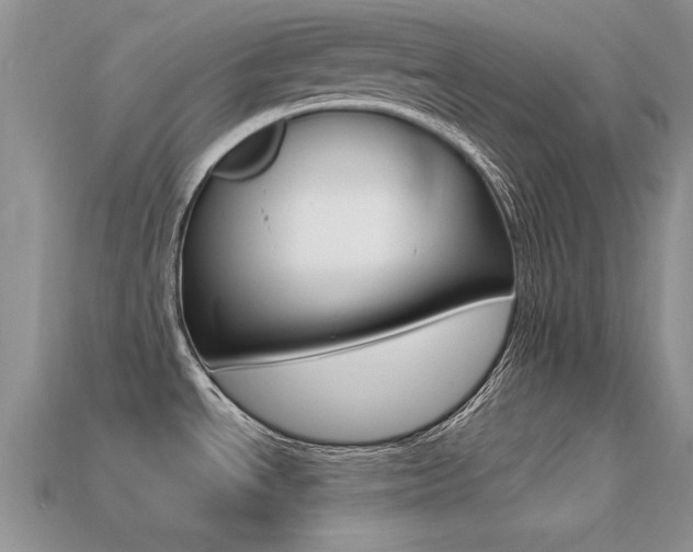 X0000113561534200909181010