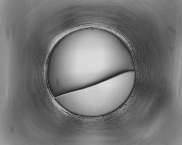 X0000113561535200909181010