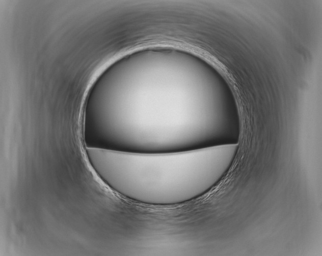 X0000113561536200909181010