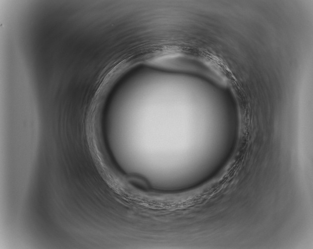 X0000113560001200909181229