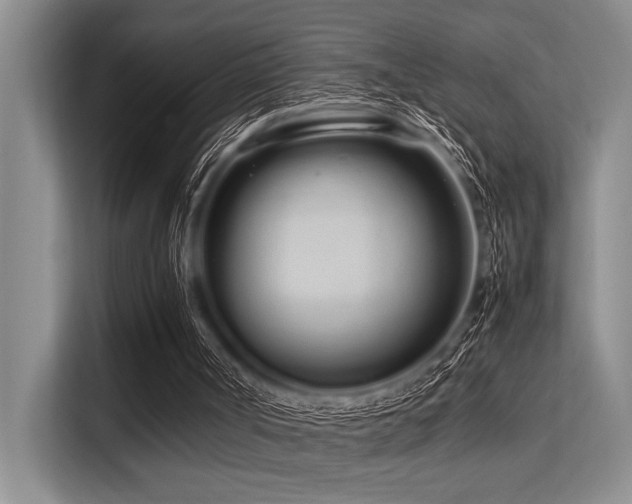 X0000113560002200909181229