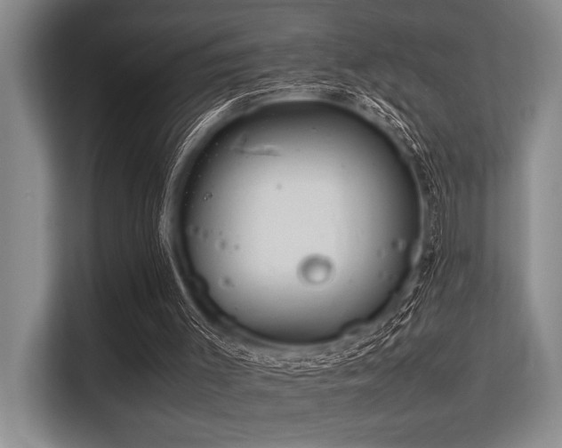 X0000113560003200909181229