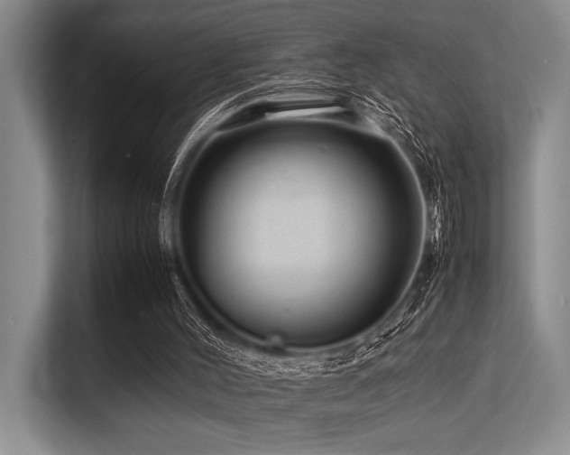 X0000113560004200909181229