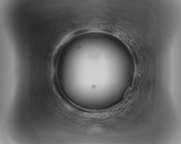 X0000113560005200909181229