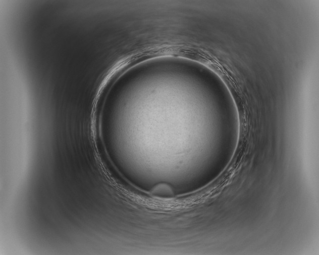 X0000113560006200909181229
