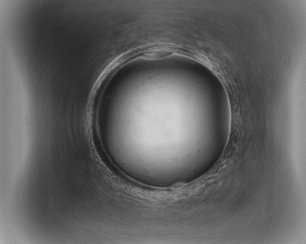 X0000113560007200909181229