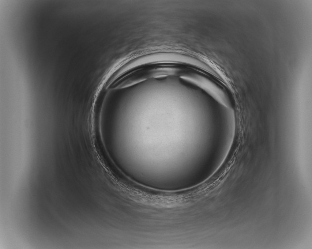 X0000113560008200909181229
