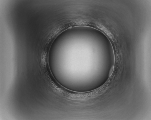 X0000113560009200909181229