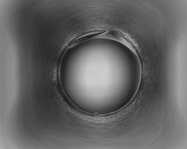 X0000113560010200909181229
